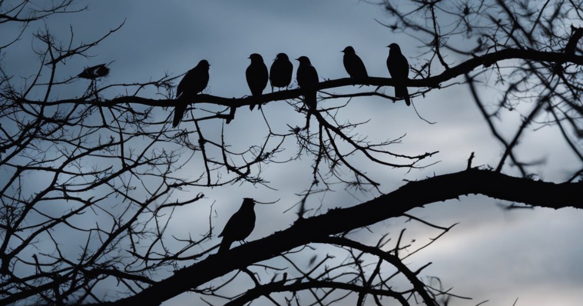 How Birds Sense Severe Weather