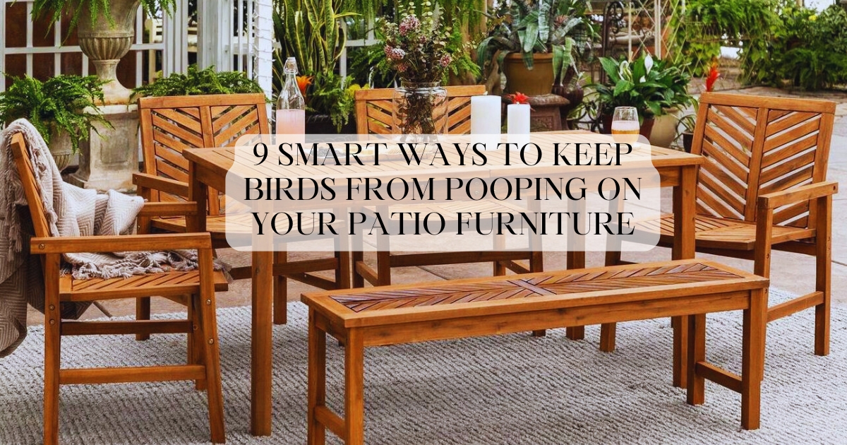 9 Smart Ways to Keep Birds From Pooping on Your Patio Furniture